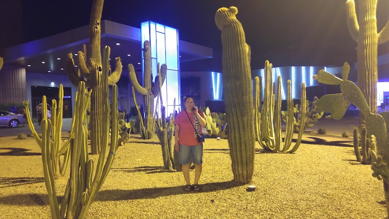 Ak Chin Indian Comm Tribal Gallery Image