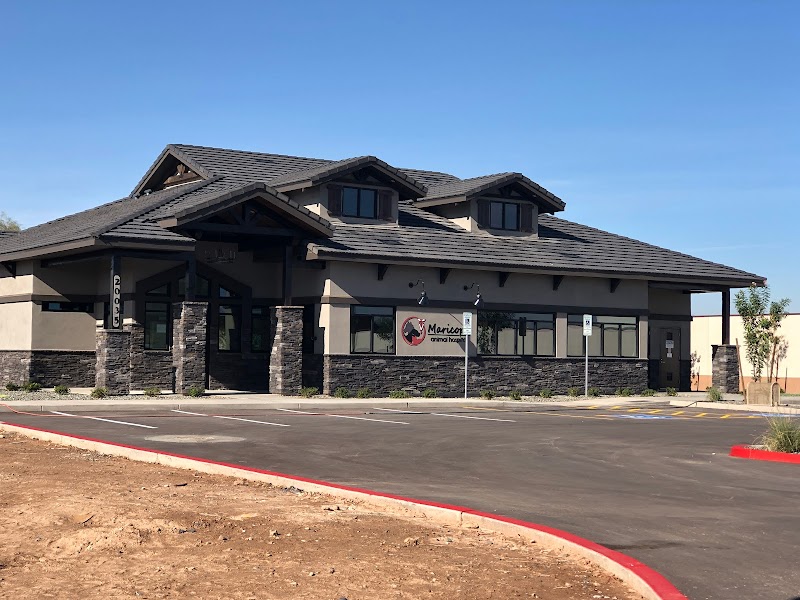 Maricopa Animal Hospital image 1