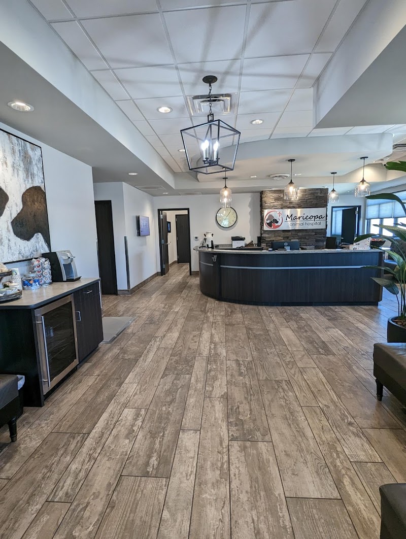 Maricopa Animal Hospital image 5
