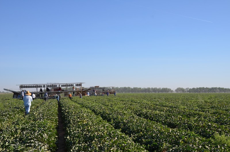 Santa Rosa Cooling Co Gallery Image