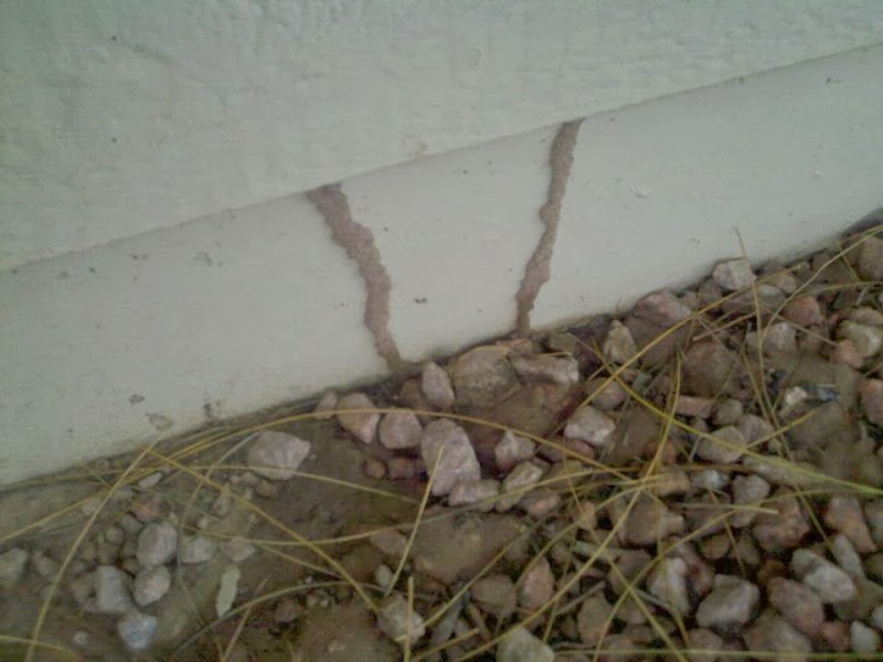 Stormin' Norman Termite and Pest Control image 2