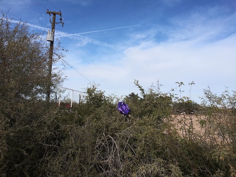 Maricopa Waste &amp; Recycling Information image 4