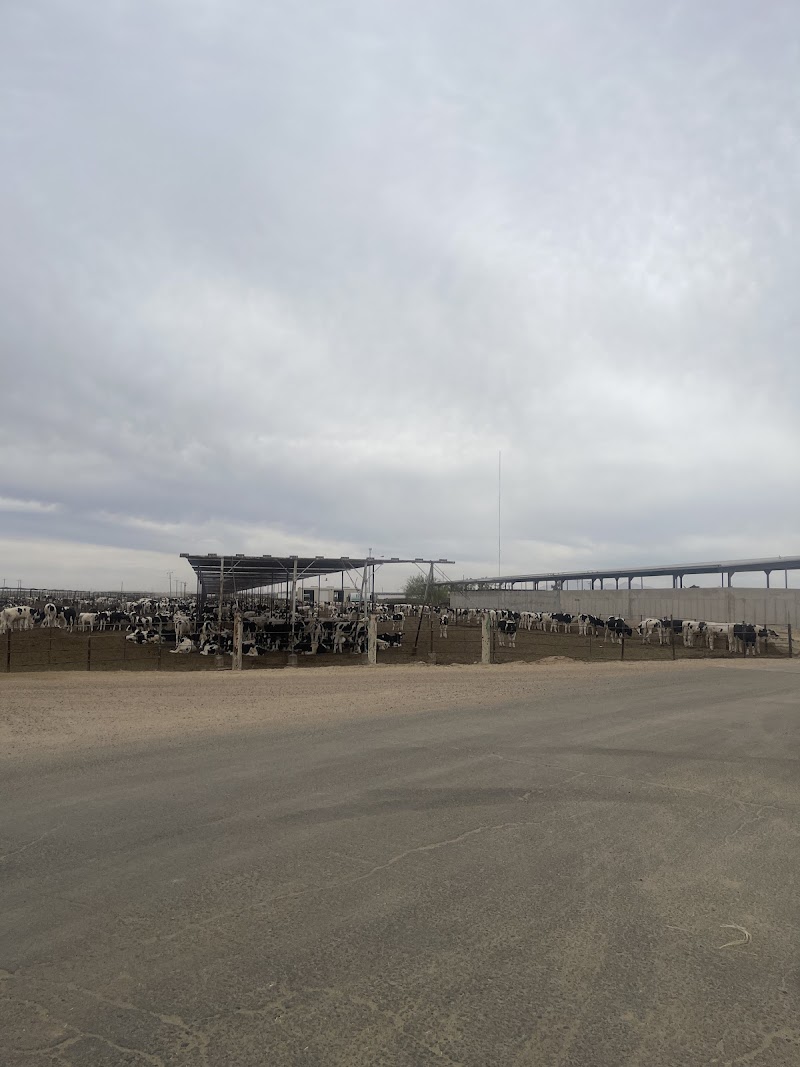 Pinal Feeding Co Inc image 2