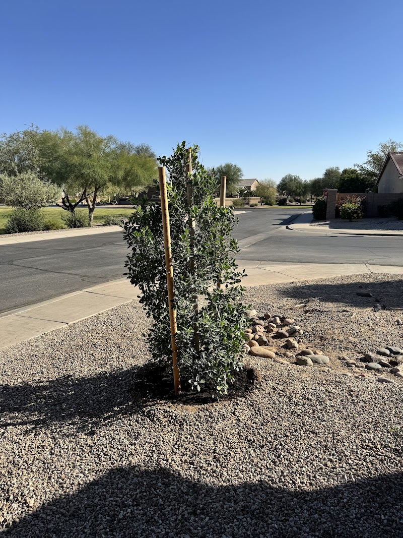 R.G. Landscaping LLC image 5