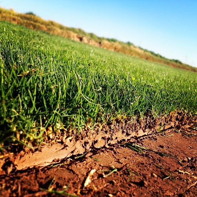 Southwest Sod image 1