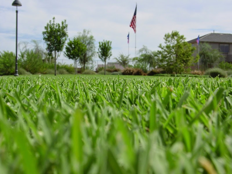 Southwest Sod image 2