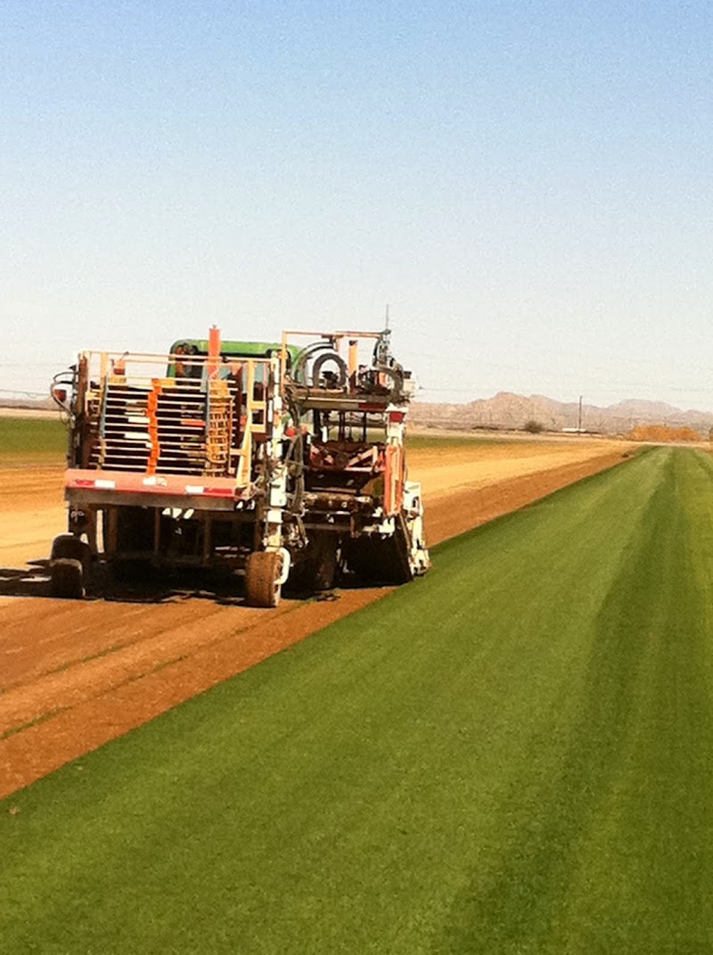 Southwest Sod image 3