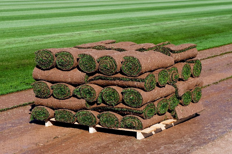 Southwest Sod image 4