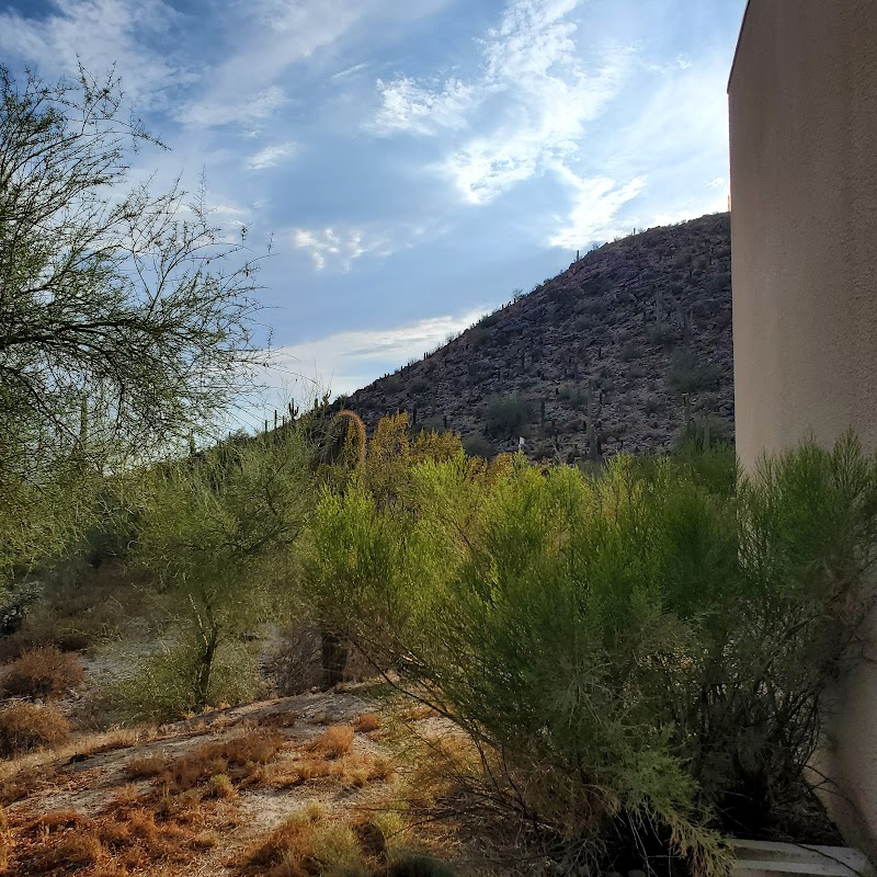 Central Arizona College image 4