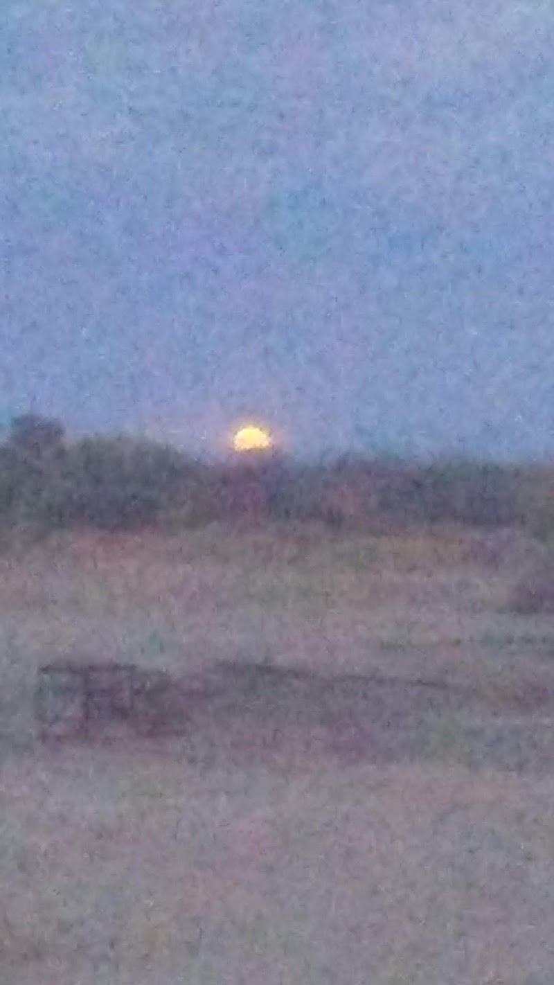 Gila River Indian Community Animal Control image 2