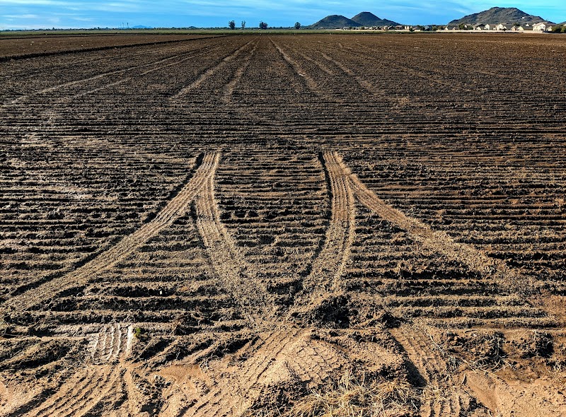 San Tan Valley image 1