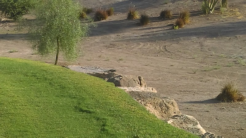 Poston Butte Golf Club image 5