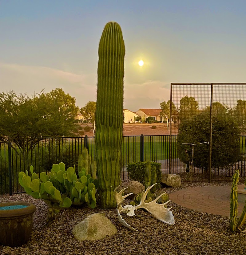 Sun City Anthem at Merrill Ranch by Del Webb- 55+ Retirement Community image 1