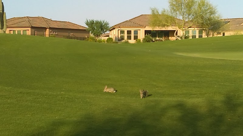 Del Webb Homes image 1