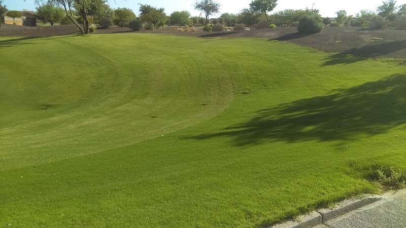 Del Webb Homes image 5