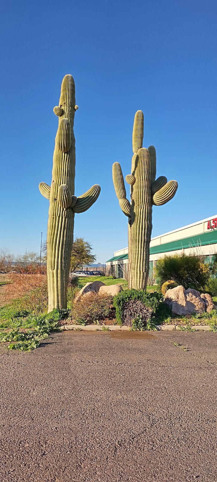 A Storage Place image 3