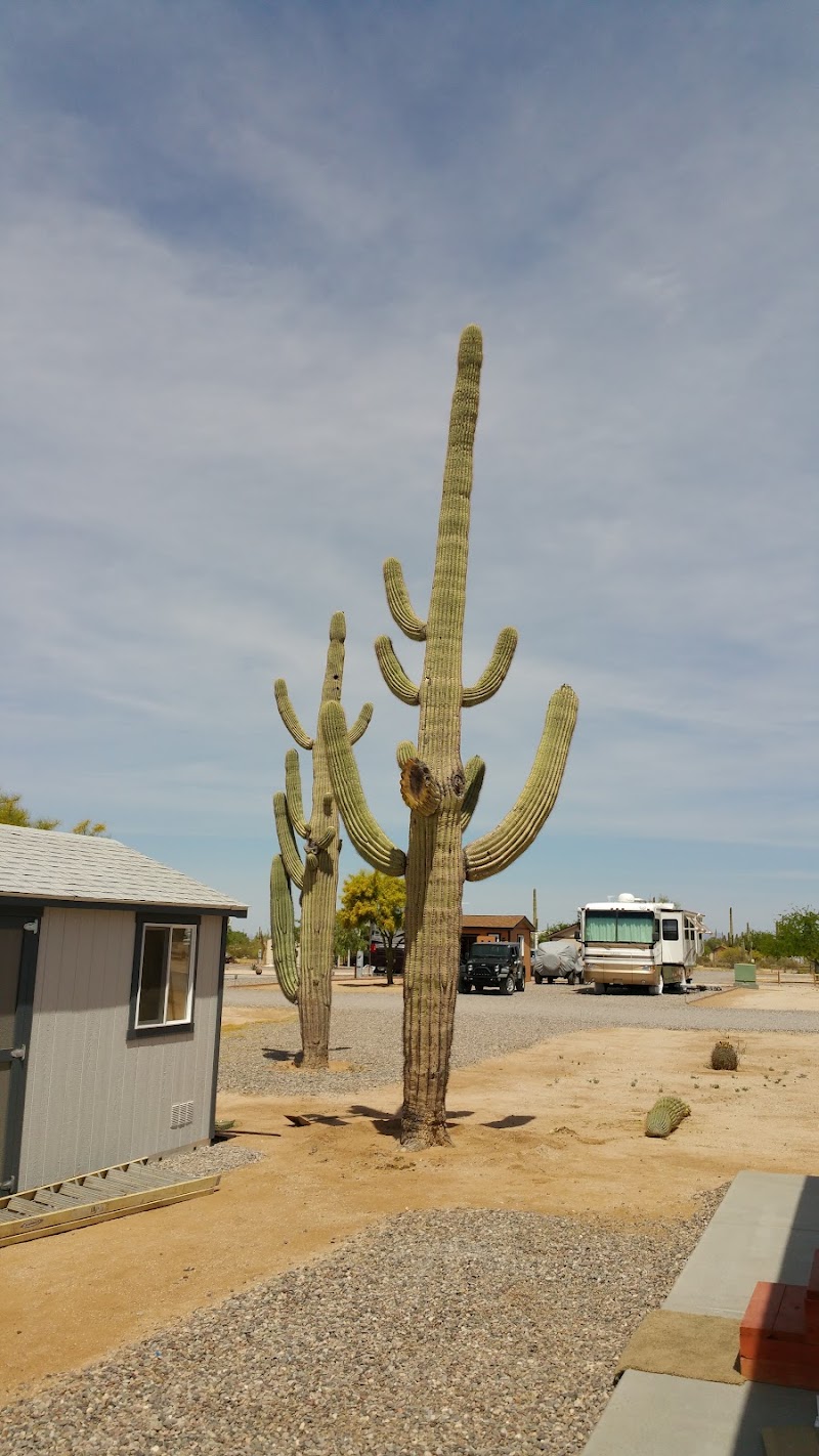 Desert Gardens RV Park image 5