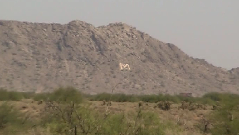 Maricopa, AZ Real Estate Agent Gallery Image