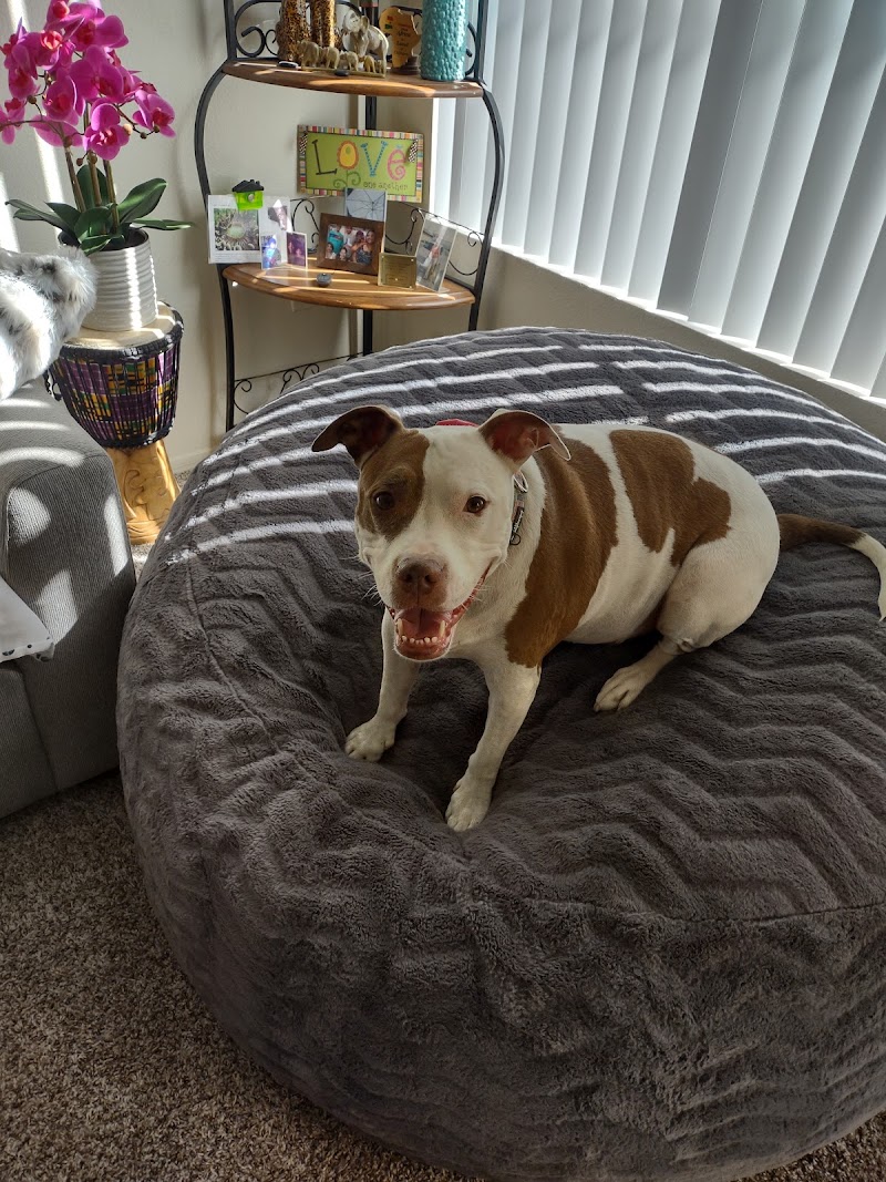 Lowe's Home Improvement image 4