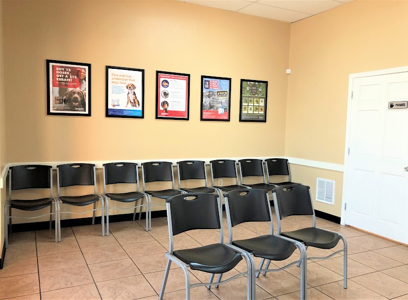 Spay Neuter Clinic: Chandler image 2