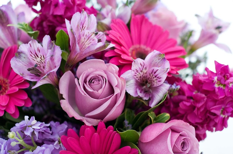 Cactus Flower Florists image 2