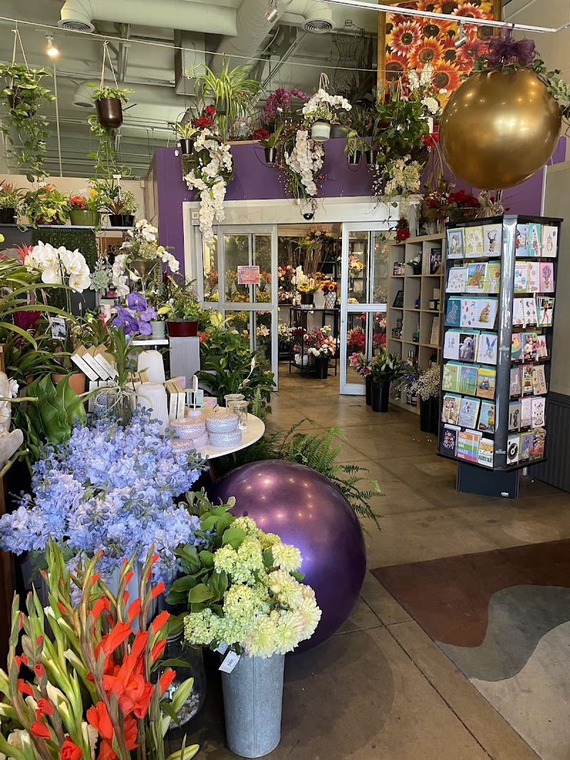 Cactus Flower Florists image 5