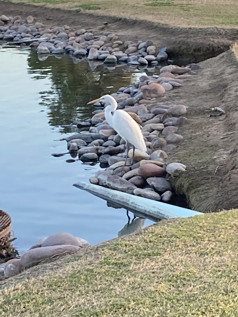 Sun Lakes Country Club image 5