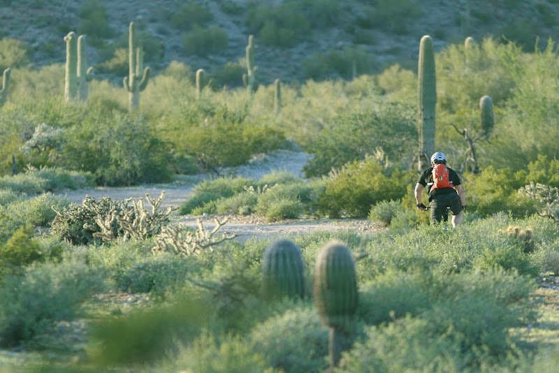 San Tan Mountain Regional Park Gallery Image