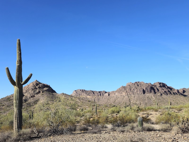 San Tan Mountain Regional Park Gallery Image