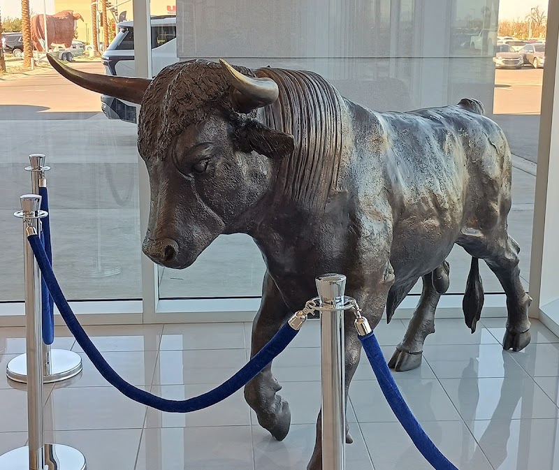 Earnhardt Chevrolet Gallery Image