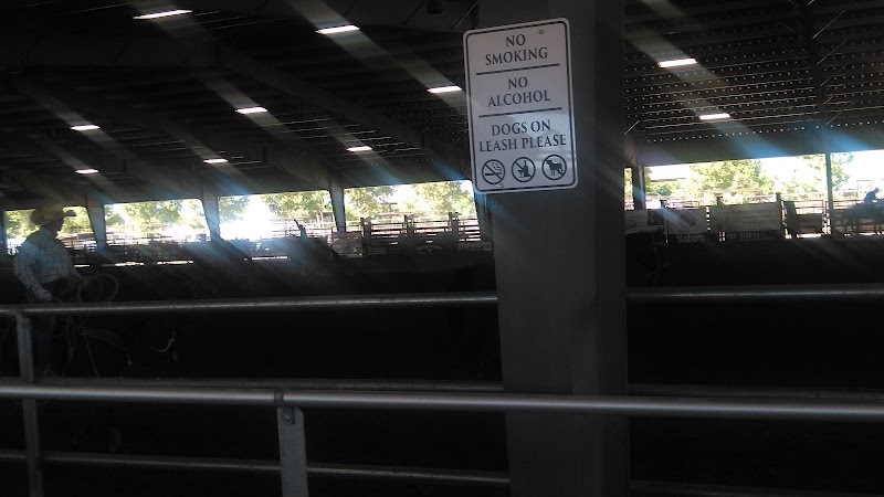 East Valley Saddle Club image 2