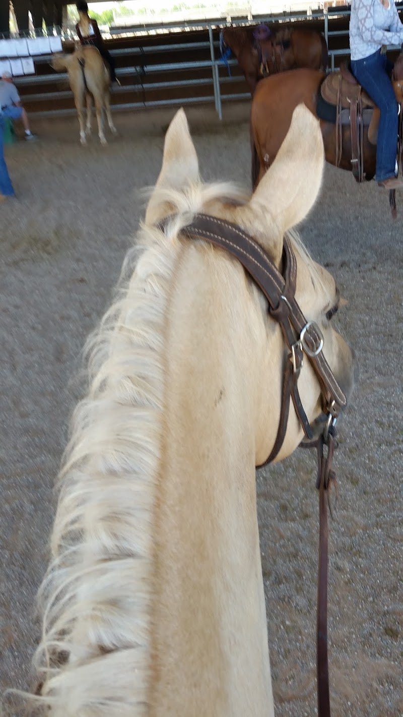 East Valley Saddle Club image 4