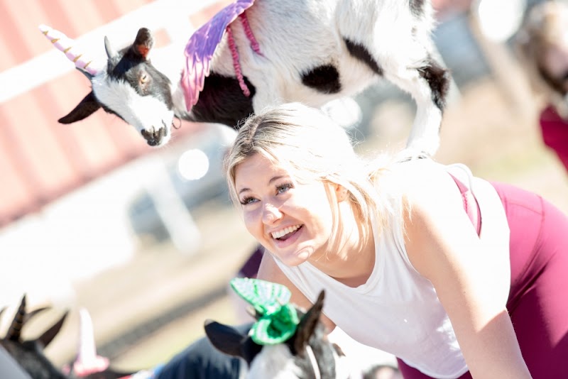 Arizona Goat Yoga Gallery Image