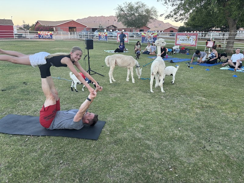 Arizona Goat Yoga Gallery Image