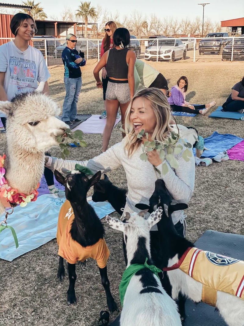 Arizona Goat Yoga Gallery Image