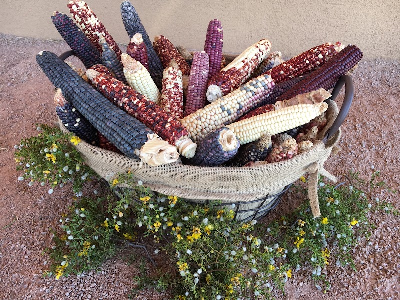 Ramona Farms image 4