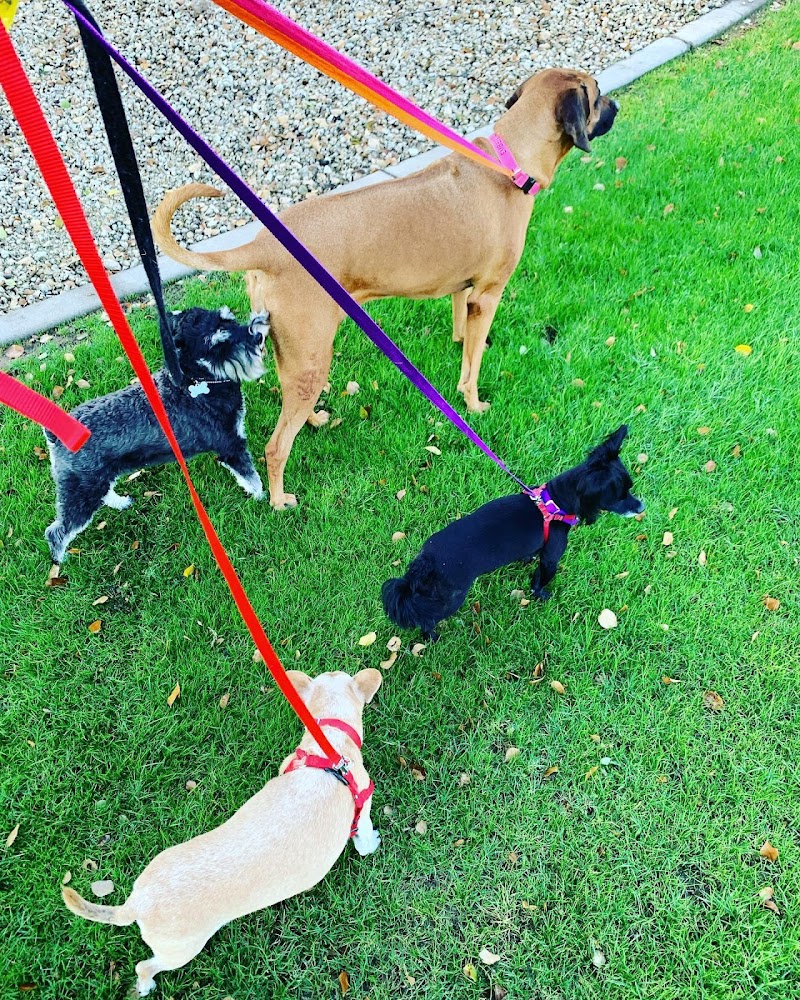 Pawsitively Purfect Pet Sitting LLC image 2