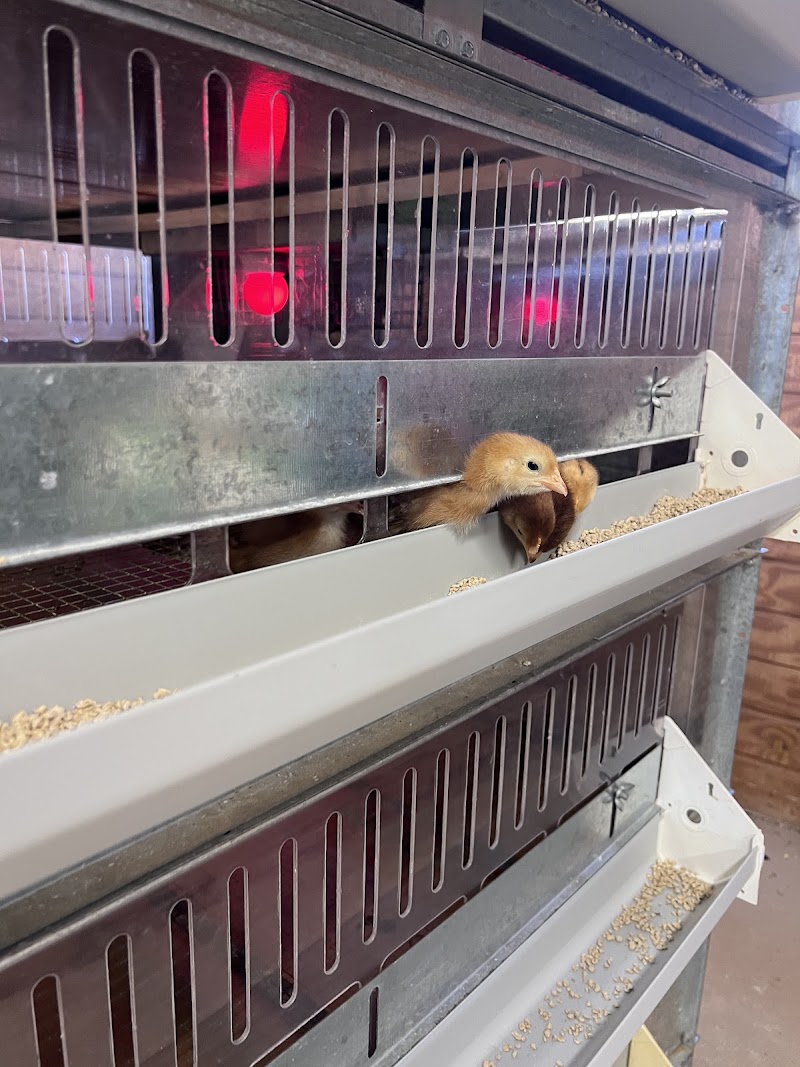 The Ranch Store image 1