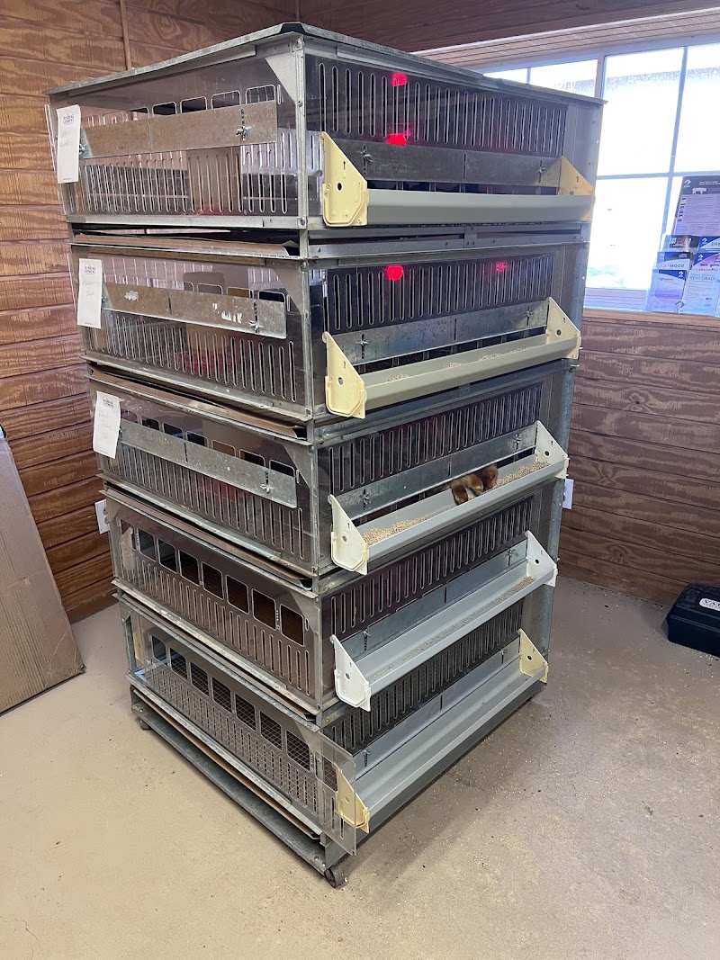 The Ranch Store image 4