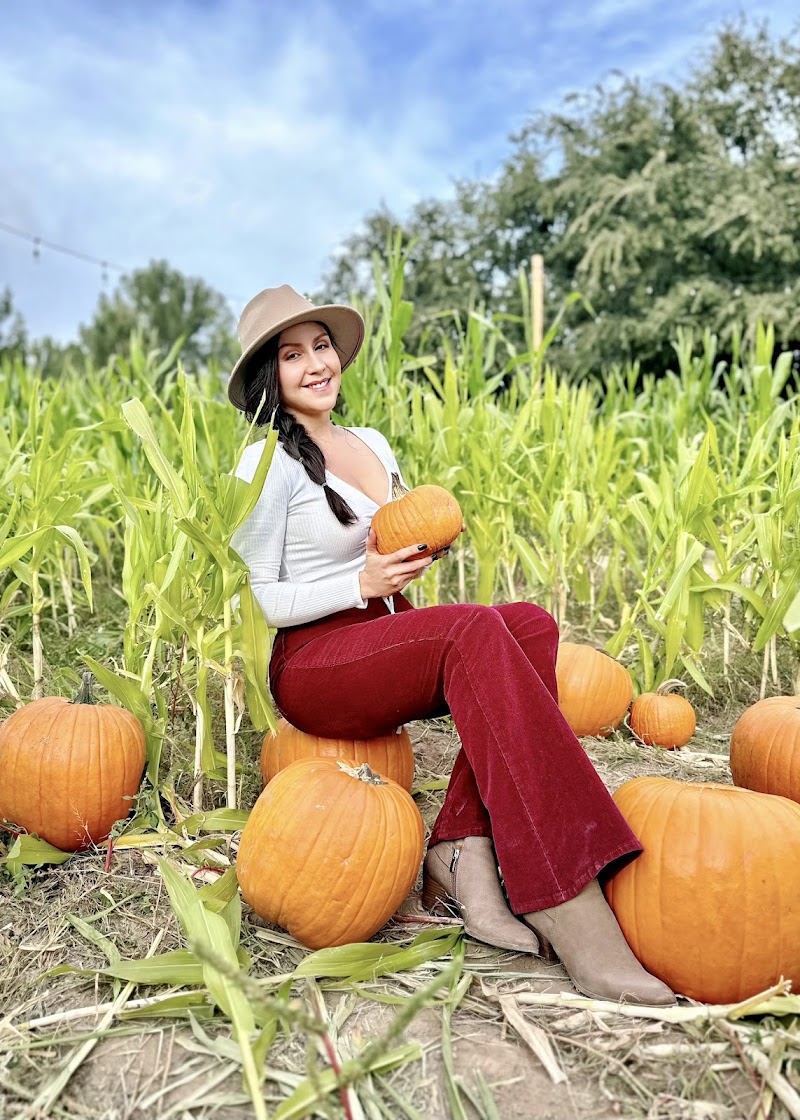 Schnepf Farms image 2