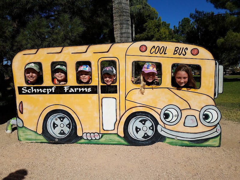 Schnepf Farms image 5