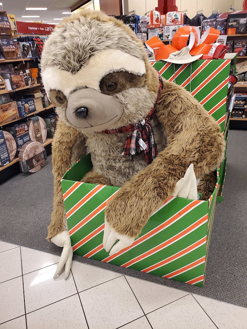 Kohl's Gallery Image