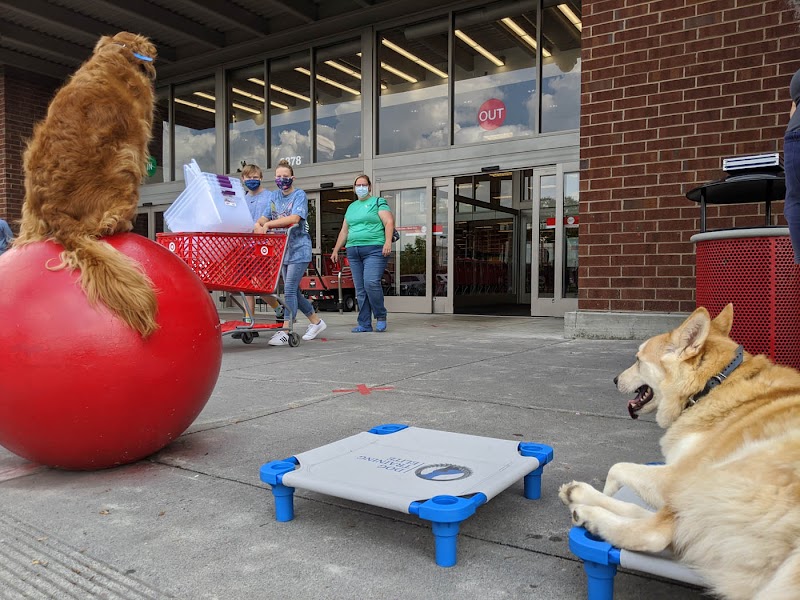 Dog Training Elite image 3