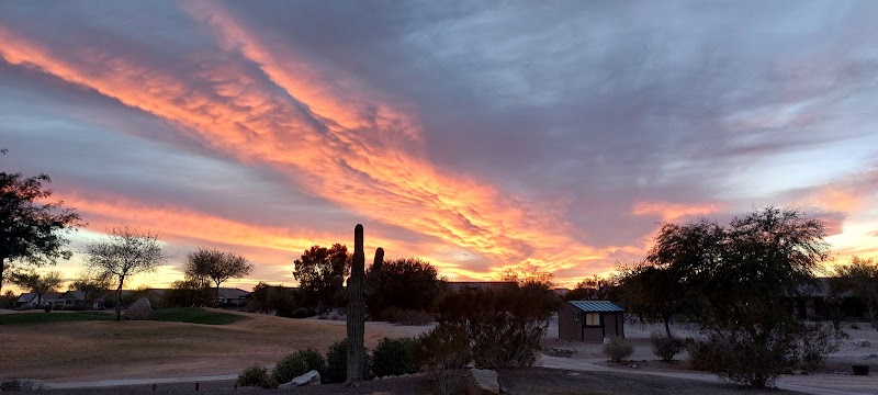 Terrace Restaurant image 5