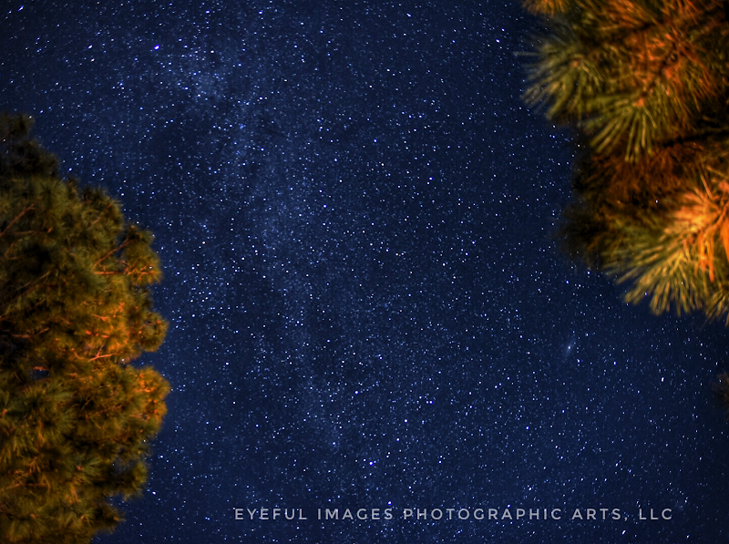 Eyeful Images Photographic Arts, LLC image 5