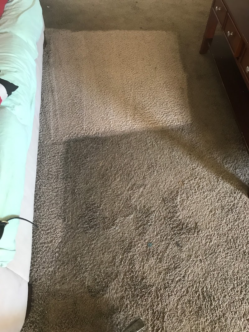 Cisco Steam Clean image 1