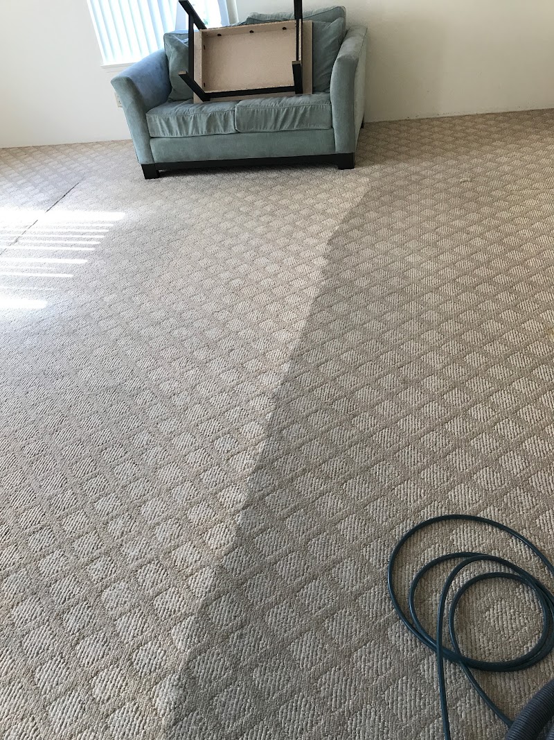 Cisco Steam Clean image 2