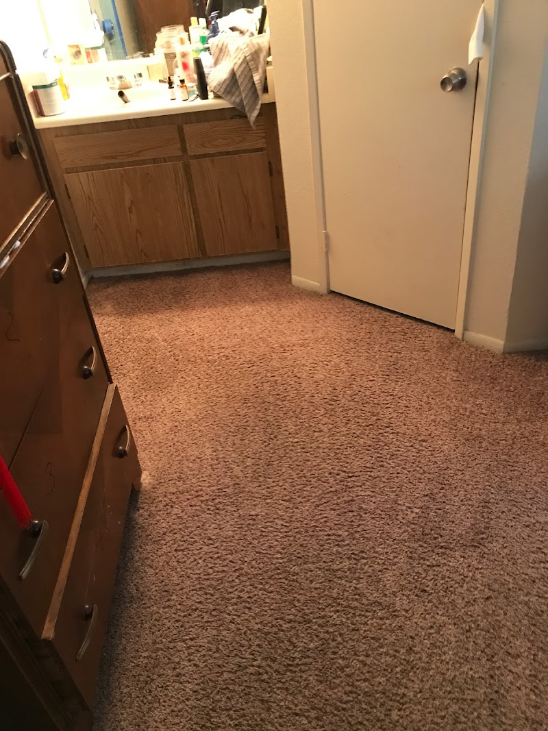 Cisco Steam Clean image 4