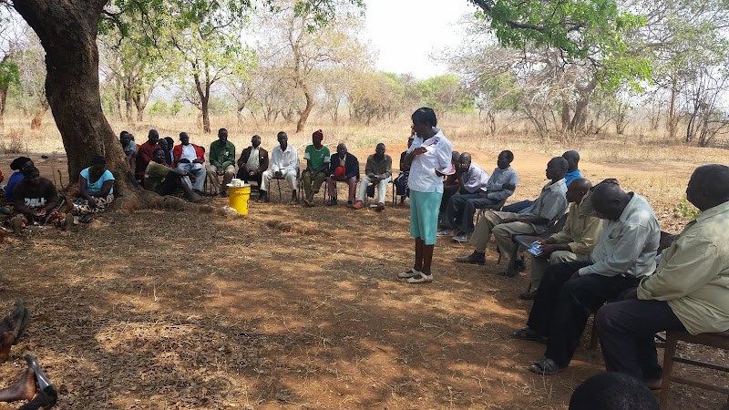 Moyo Africa Foundation image 1