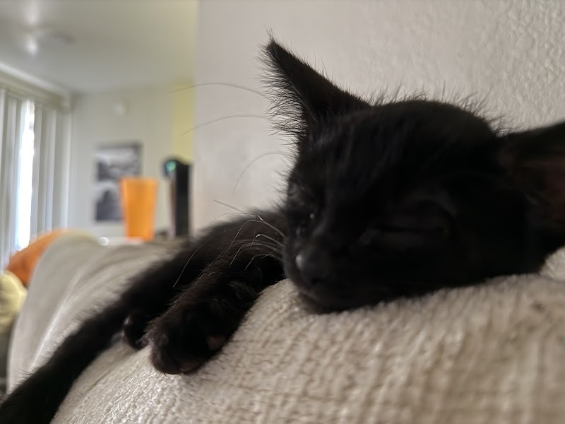 Arizona Humane Society South Mountain Campus image 4